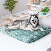 PaWz Dog Mat Pet Calming Bed Memory XL Green X-Large