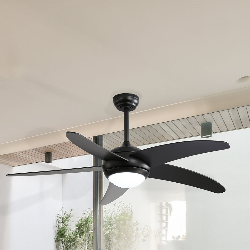 Spector 52'' Ceiling Fan LED Light DC Black