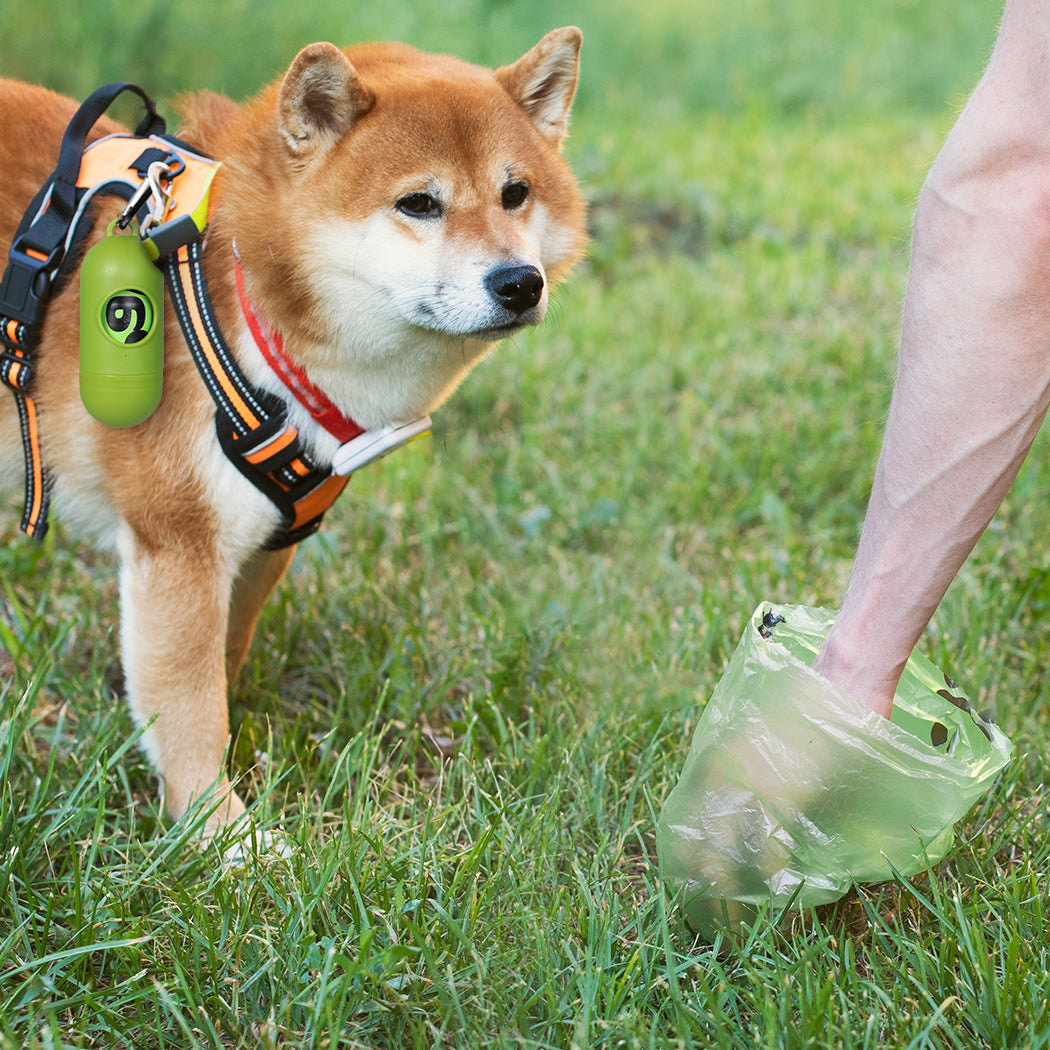 PaWz 100% Compostable Biobased Dog Poop