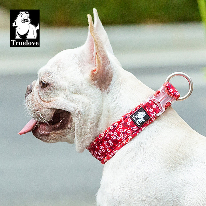 True Love Floral Dog Collar - Red` 2XS