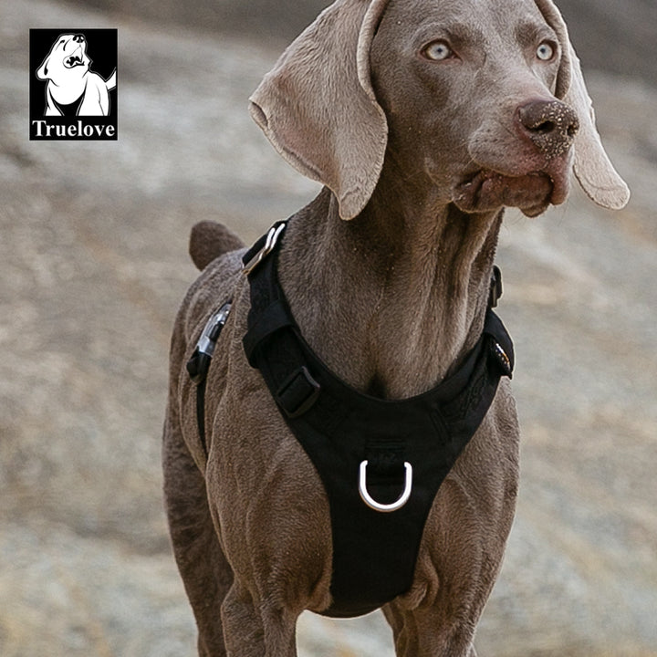 True Love Lightweight Dog Harness - Black` 2XS