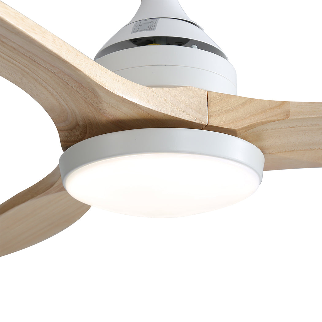 Spector 52'' Ceiling Fan LED Light DC Natural