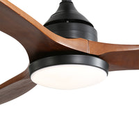 Spector 52'' Ceiling Fan DC Motor LED Walnut