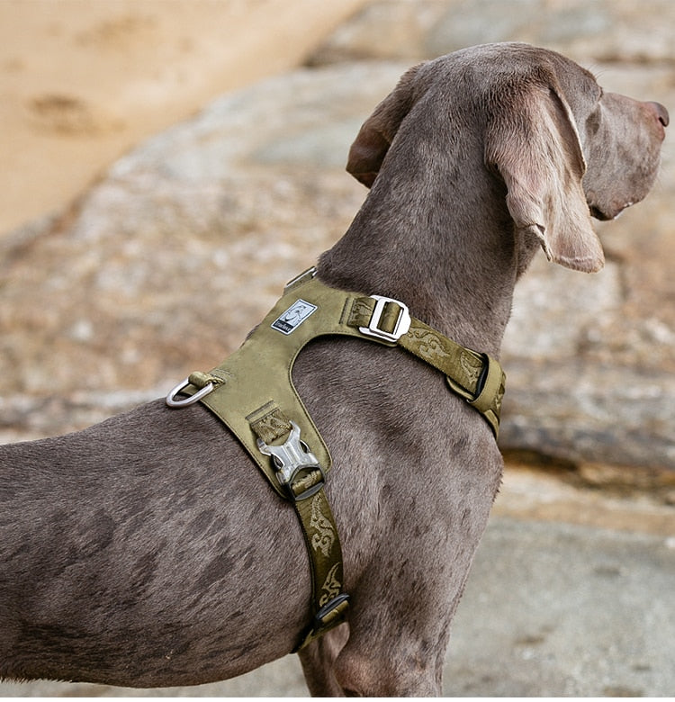 True Love Lightweight Dog Harness - Green` L